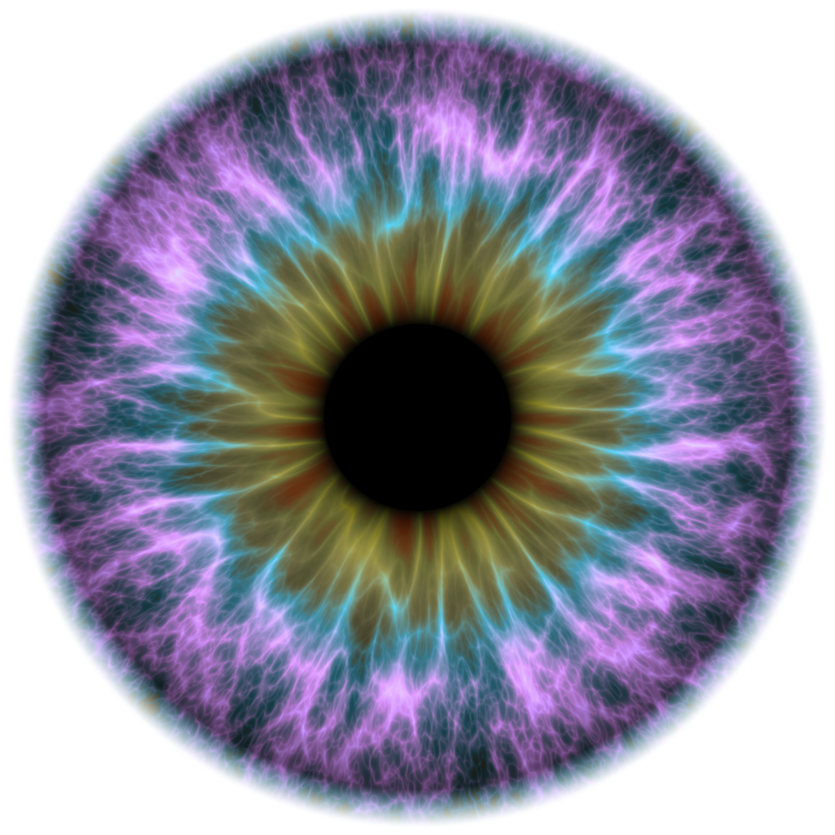 NanoSphere Vision Close-up multicolored eye graphic symbolizing NanoSphere’s vision for connecting researchers, industry, and regulators in nanomedicine