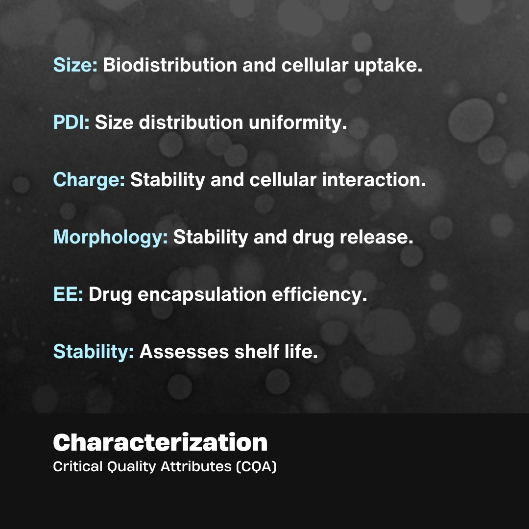 Characterization of LNPs