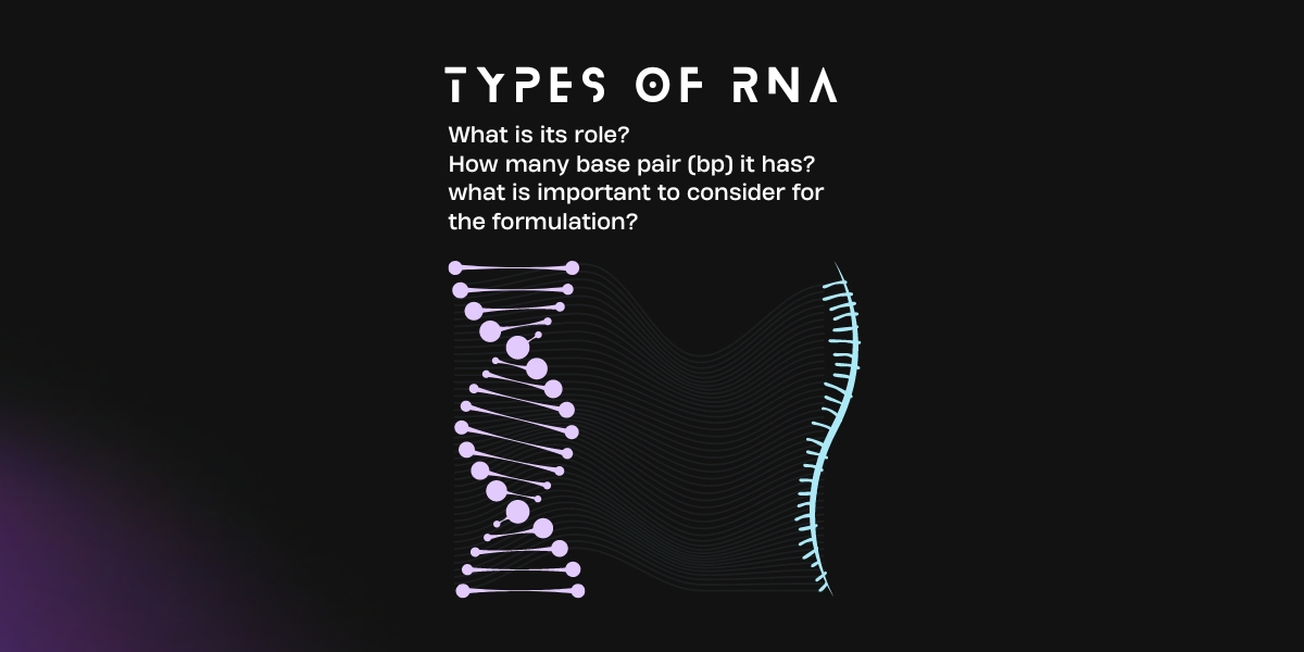 Nucleic Acid Modalities